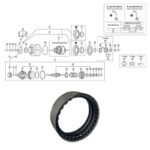 SHIMANO NEXUS 8-v (SG-8C31) hammasrengas