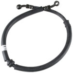 etujarruletku quannon