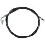 penkin vaijeri filly