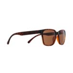 Spect Red Bull Eliot Sunglasses Shiny Havana w Brown lens